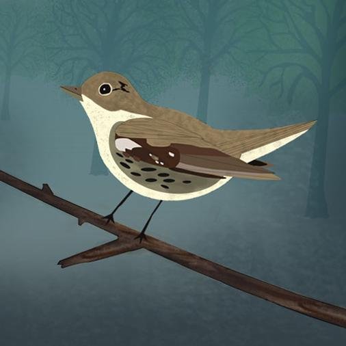 A magical, interactive Book App for iPad based upon Hans Christian Andersen's fairytale The Nightingale. Tweet. Tweet.