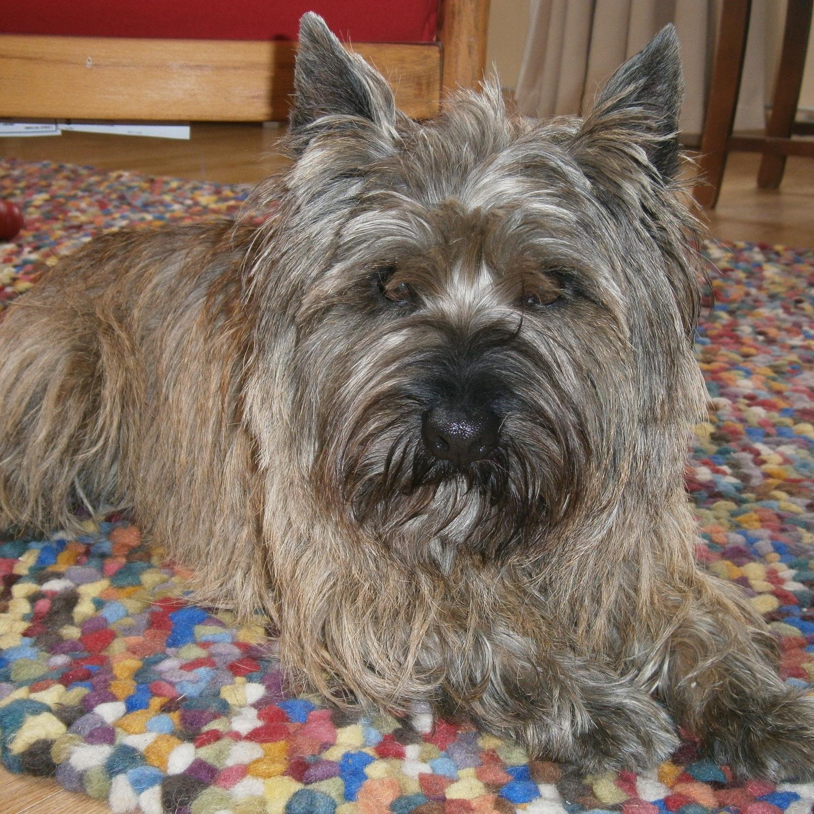 DianeEWard24's profile picture. 