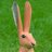 rabbit_vet's profile image
