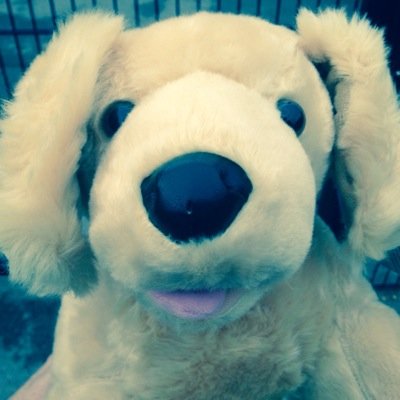 BlogtheDog's profile image