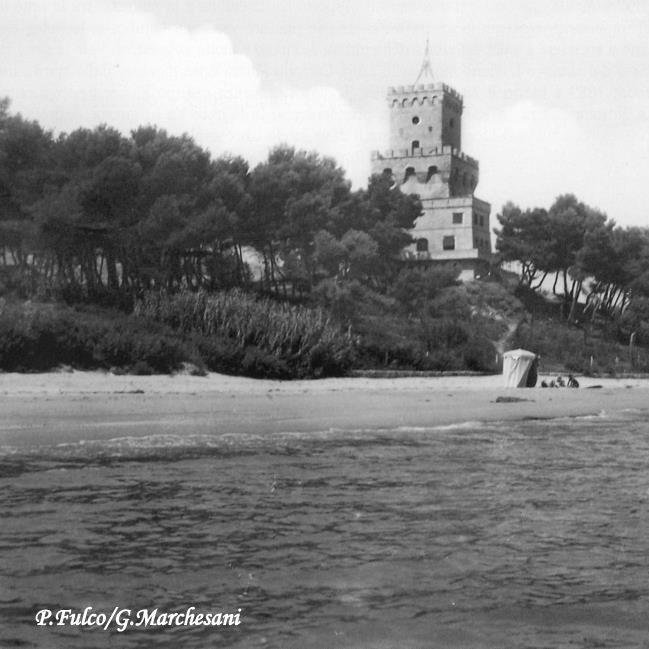 NADIA27102's profile picture. 