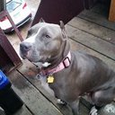 Katie Skipper - @KatieKayti73 - Twitter