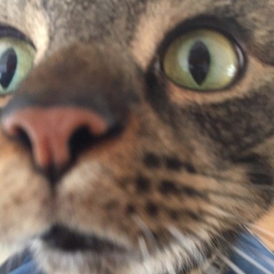 Taurus_Homes's profile picture. 