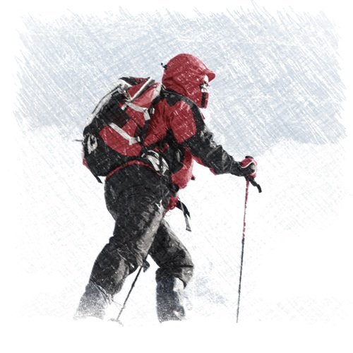 pskro's profile picture. Laravel, PHP