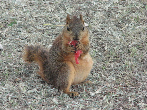 tinastacey312's profile picture. http://t.co/qPB1HMLJmk