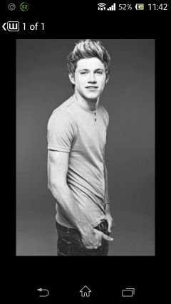 The craziest and the best fan of those 5 wonderful guys who got me to actually live.. I live for them cuz I luv dem... Love you guys soo much #1D