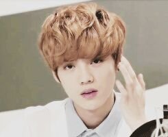 we are one exo