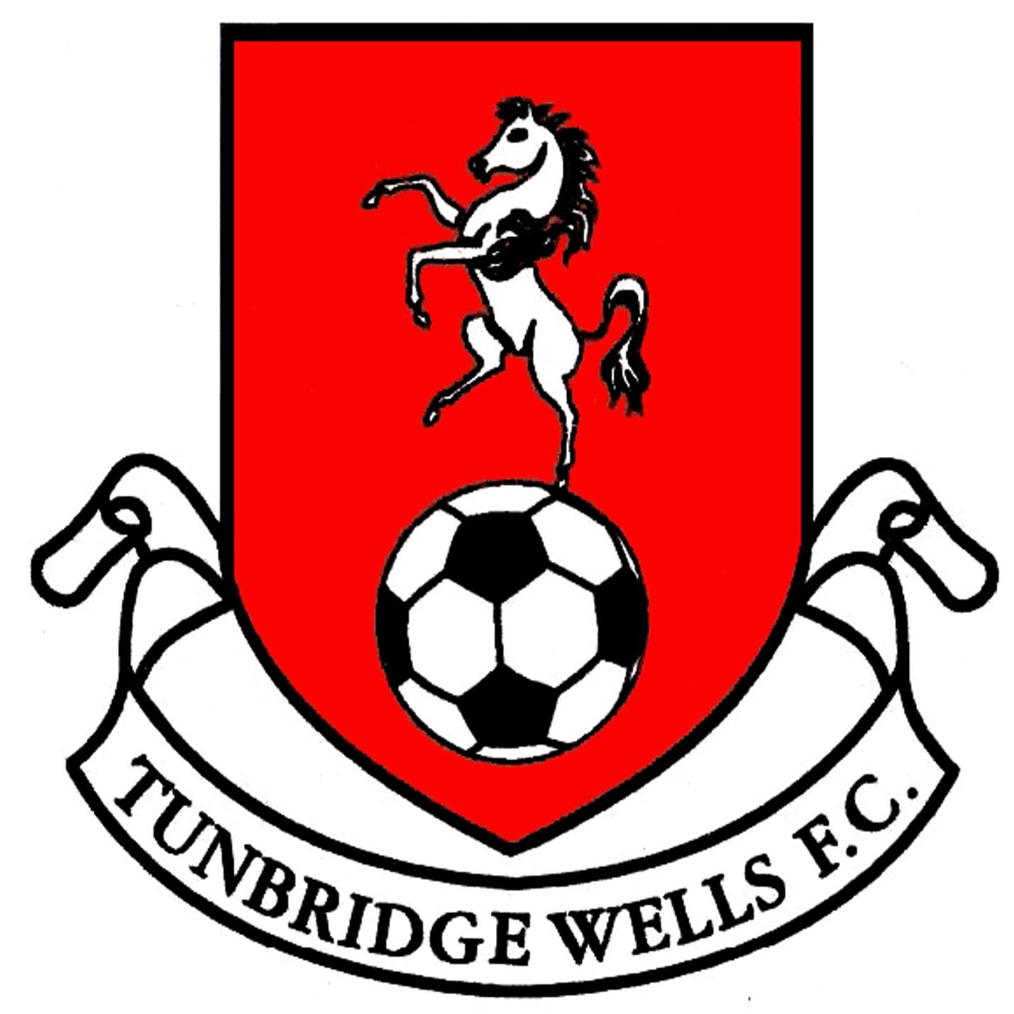 FA Charter Standard Community Club, Tunbridge Wells Youth FC are the Junior Club for Tunbridge Wells FC with over 600 players and over 40 teams