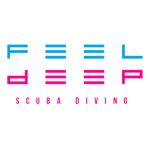 Feel Deep is a PADI certified dive shop. Partnered with a growing network of dive shops and resorts across the Philippines.