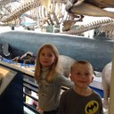 Brendon Shaw - @ShawBrendon - Twitter