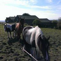 naomisharples (@sharplesnaomi) 's Twitter Profile