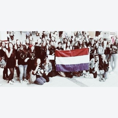 De meetings worden georganiseerd door: @heyyoustyles @TheMazeDylan_  @theyaregay @DemivdBerk