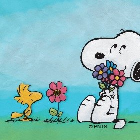 ponkotsutest's profile picture. 