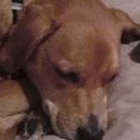 Kelly Ann Walker - @SparklePlenty8 - Twitter