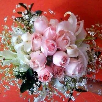 bbfbaee6d1894fc's profile picture. 