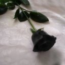 σℓ∂ℓσνε (@0ldLove) Twitter