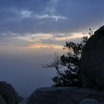 satt235's profile picture. 