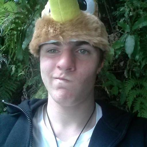 heybrando's profile picture. Brisbane Lions Fanatic