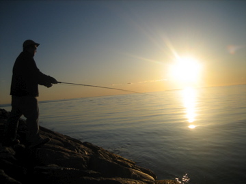 nbellistri's profile picture. I am an old-Land-Rover-driving, home barista, photographer, lover of Ron Swanson and good whiskey.