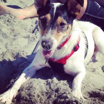 LiamBarry's profile picture. Irish , Cork , Nashville, #frostybev