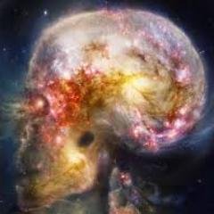 #宇宙 #生命 #遺伝子 #ＤＮＡ #ロボット #科学 #サイエンス #雑学