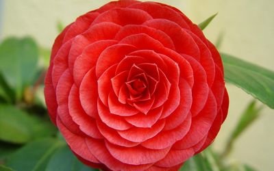 erting122's profile picture. 