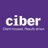 SAP BPC | CIBER
