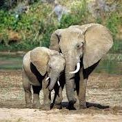 ignacioochandia's profile picture. Experto en la gestión y planificación financiera de la jubilación y otras prestaciones sociales.
Estudio de necesidades financieras a medio y largo plazo.