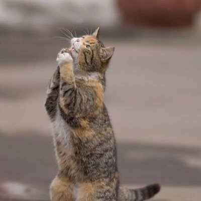 地震に怖がる子を守る会の公式アカウント 地震情報を速報でお伝えします。 
管理：@kaznske