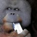 semplicemente me (@ragasemplice) Twitter profile photo