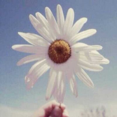 ‏سبحان الله وبحمده سبحان الله العظيم.