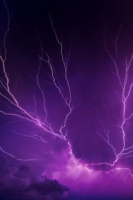 لا عزّا لهذه الأمة إلّا بإقامة دينها