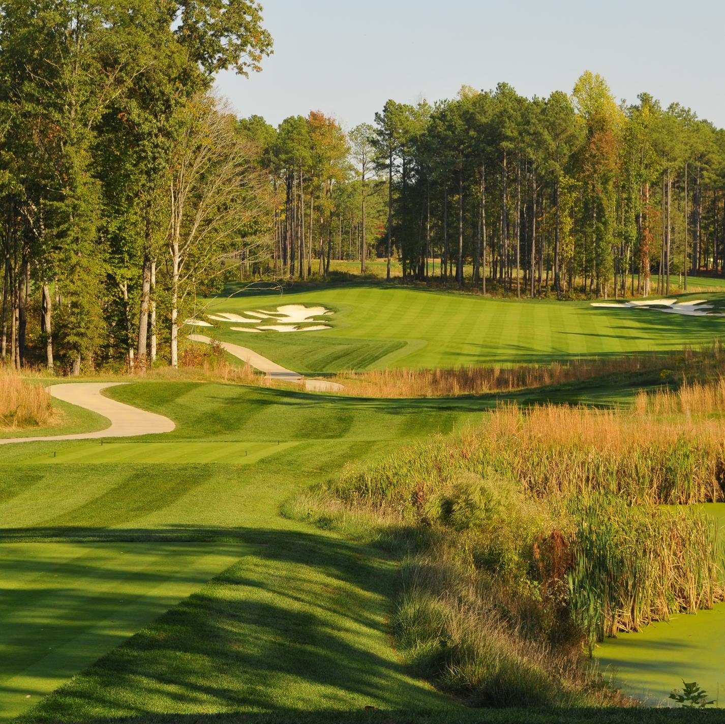 The #1 Virginia Golf Website!