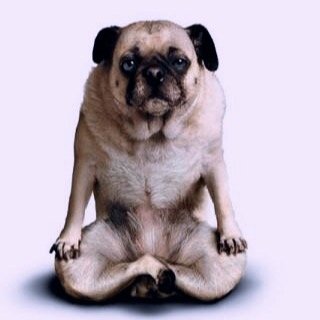 今浪人してます
今勉強してます
今本気だします