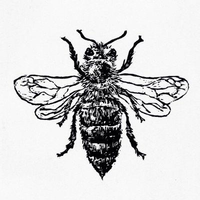 Beult House Bees