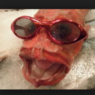 lucassegerskold's profile picture. 