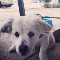 Rex News (@rexretweets) 's Twitter Profile