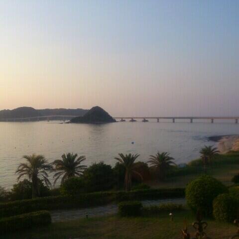 yamaf4's profile picture. 