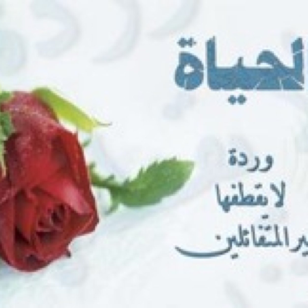 اسيرmالشوق On Twitter Tehane113 ليش انتي كذابه
