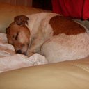 mark jason pinder - @mjp823 - Twitter