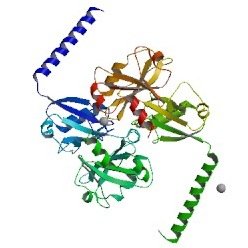 Translational cancer biology, genomics, drug discovery. Strong distaste for pseudo-science and MoA hand waving. Don't care what stocks you buy.
