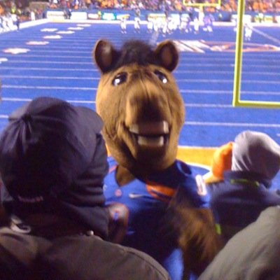 BusterBroncoEsq Profile Picture