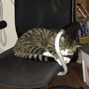 Emily Starkey - @ladybird98650 - Twitter