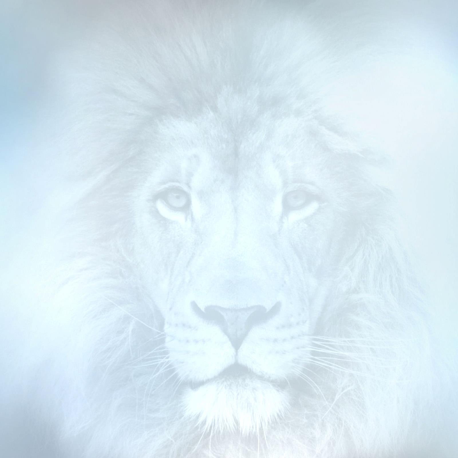 LionsInTheCloud Profile Picture