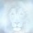 LionsInTheCloud's profile image