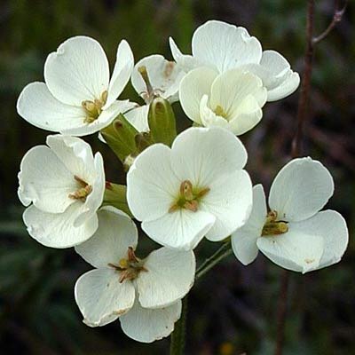 7h3_Wallflower's profile picture. I am a wallflower, but I'm also your friend. you can always find me in the back, hidden away. i see it all.  TCHS '13 UCF '17