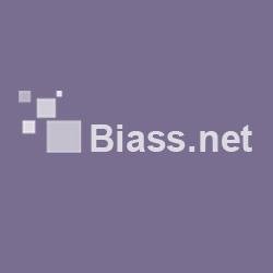 Get a Free Business Website and exclusive presentation on Biass.in