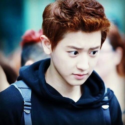 park chanyeol pard - ©1992 - k.a qobils