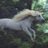 kellymvcds's profile image