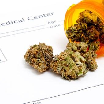 Daily Journal of Marijuana News & Information